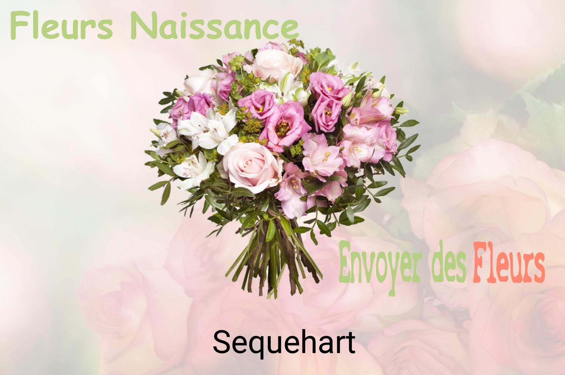 Bouquet de fleurs de naissance livré à Sequehart